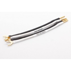 Studio Connections Reference + (Straps) Studio Connections Reference + (Straps)