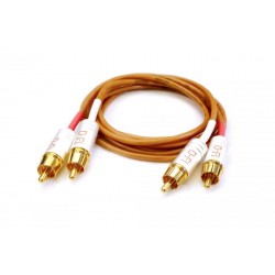 Vertere D-FI RCA