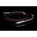 Albedo Metamorphosis Signature Monocrystal RCA