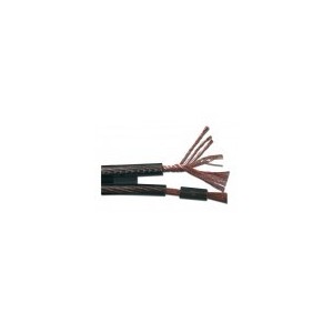 Real Cable TDC 300 F (au mètre)